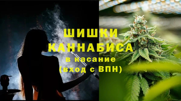 прущий лед Костерёво
